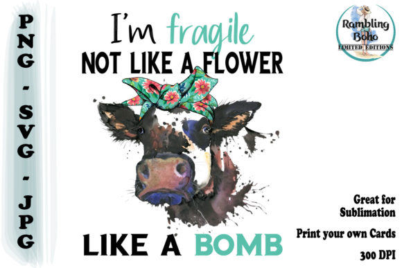 Review: Fragile Like a Bomb Quote for Embroidery