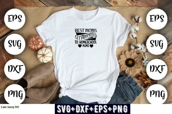Reviewing the Homeschool Mom Promotion Design